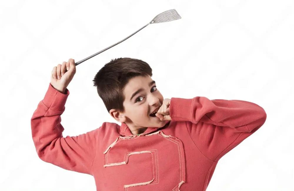 Fly Swat Threading Fun